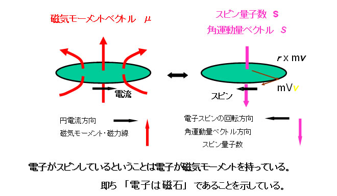 電子スピンの磁気モーメント（磁石）